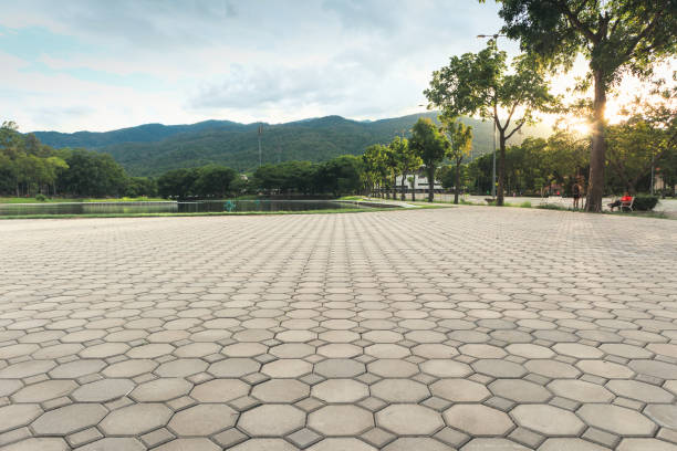 Best Brick Driveway Pavers  in Rowland, NC