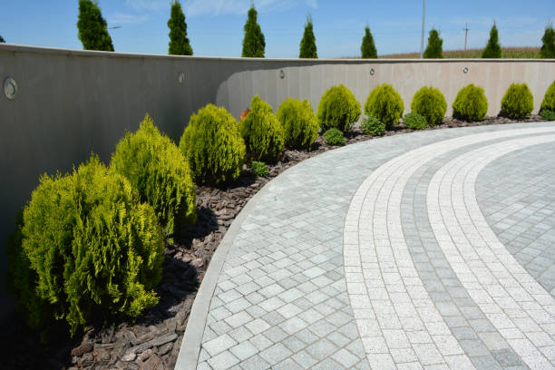 Best Driveway Paving Near Me  in Rowland, NC